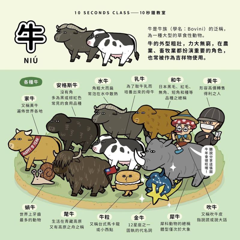 牛撲滿 圖片來源:記者 牛撲滿 圖片來源:記者