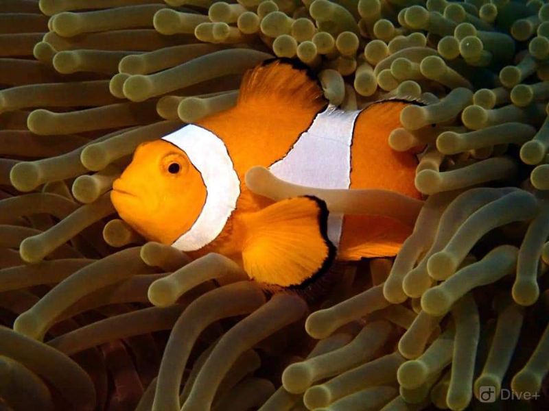 海底世界 海底世界