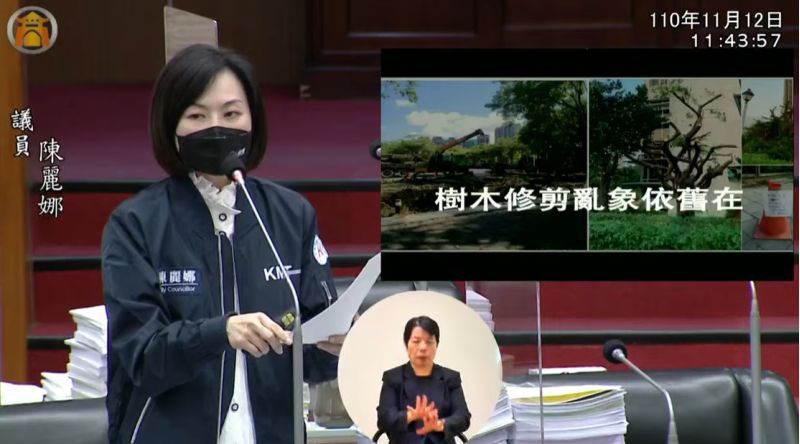 陳麗娜議員市議會質詢