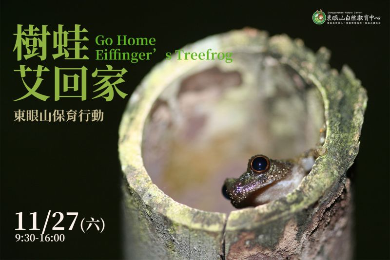 海報-樹蛙艾回家-謝謝你讓我安心孵卵  圖片來源：東眼山自然教育中心