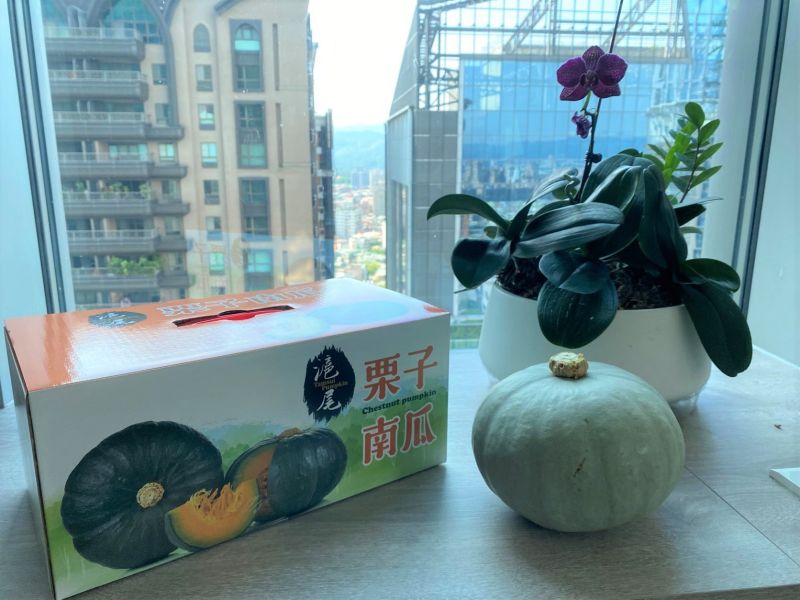 淡水農會超市推出產季首批栗子南瓜禮盒預購,每組特價350元 淡水農會超市推出產季首批栗子南瓜禮盒預購,每組特價350元