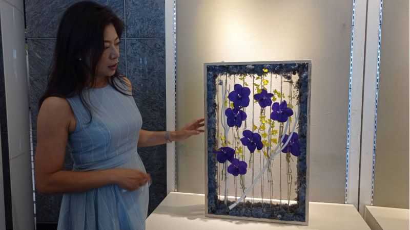 邱舒晨的夏之窗 邱舒晨的夏之窗