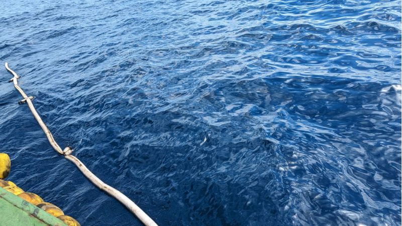 吸油索吸附海面油膜。