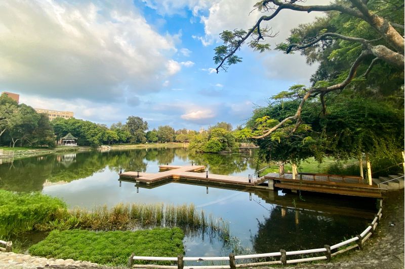 成功湖整治完成，美景更勝過往。  圖片來源：清大