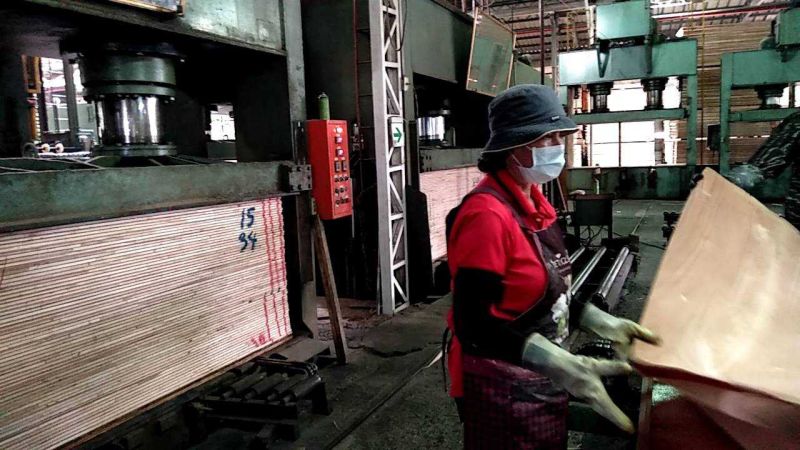 「僱用」、「續僱」高齡者都有補助 高雄傳產企業成功進用勞資雙贏  圖片來源：記者