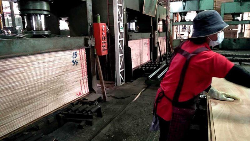 「僱用」、「續僱」高齡者都有補助  圖片來源：記者