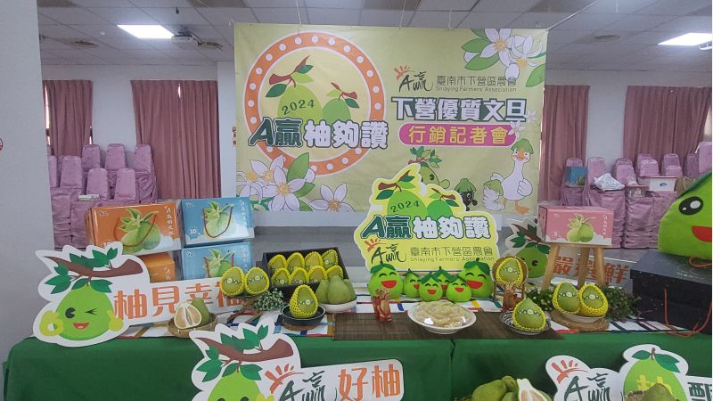 台南市下營區農會行銷A贏文旦 圖片來源:記者林清雲 台南市下營區農會行銷A贏文旦 圖片來源:記者林清雲
