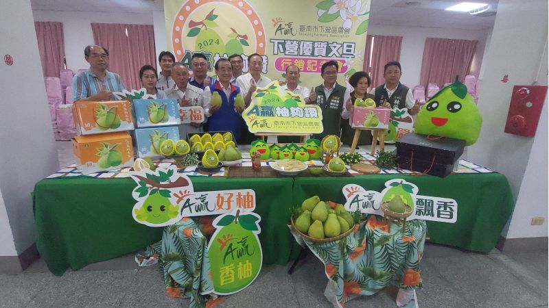 台南市下營區農會行銷A贏文旦 下營農會理事長曾丁祥總幹事陳乃源 農糧署南區分署分署長范國慶及來賓強力推薦A營文旦風味絕佳口味獨特。 圖片來源:記者林清雲 台南市下營區農會行銷A贏文旦 下營農會理事長曾丁祥總幹事陳乃源 農糧署南區分署分署長范國慶及來賓強力推薦A營文旦風味絕佳口味獨特。 圖片來源:記者林清雲