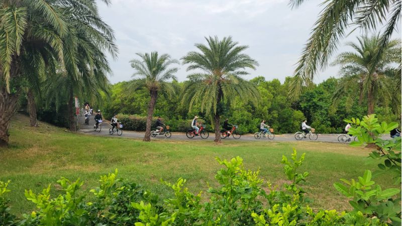 大鵬灣環灣道路自行車道 大鵬灣環灣道路自行車道