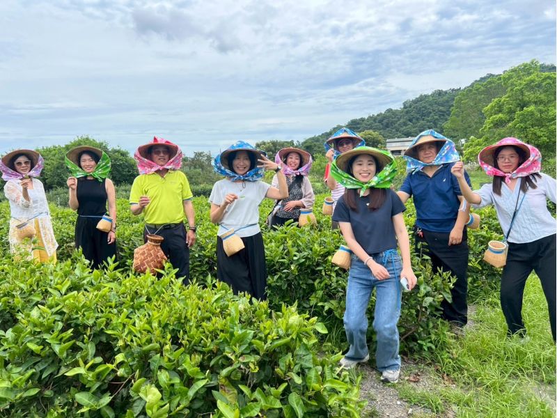 線團走訪宜蘭茶園體驗採茶活動,親身感受在地農業文化與自然風光。 線團走訪宜蘭茶園體驗採茶活動,親身感受在地農業文化與自然風光。