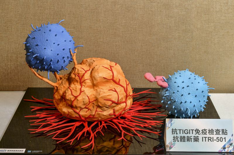 工研院研發出抗體新藥「ITRI-501」，在前臨床實驗中，顯示具備良好的長效性與抗腫瘤效果，整體療效更勝國際同類藥物，為癌症治療帶來全新突破。  圖片來源：工研院