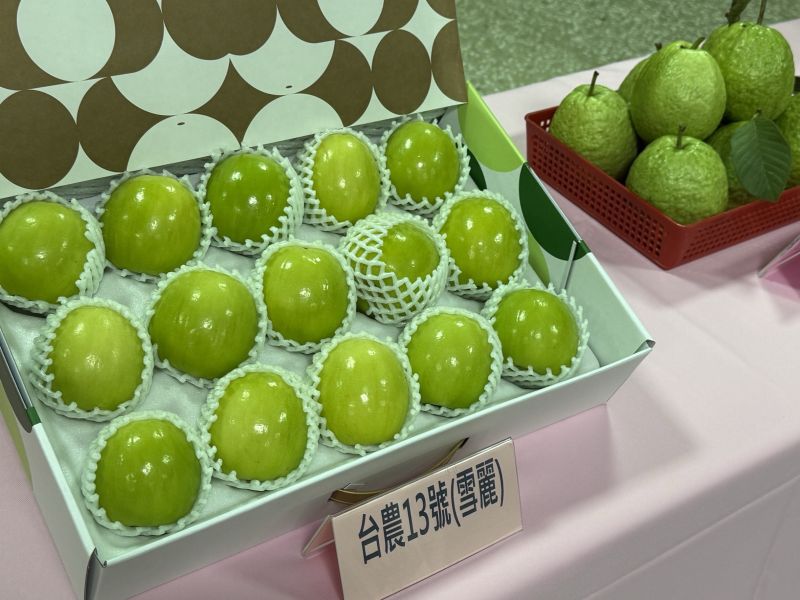 阿蓮農友栽種出優良的的蜜棗、芭樂、番茄和蜂蜜等農特產品,為阿蓮區的農特產品質建立好口碑佳,行銷全國各地甚至外銷至國外。 阿蓮農友栽種出優良的的蜜棗、芭樂、番茄和蜂蜜等農特產品,為阿蓮區的農特產品質建立好口碑佳,行銷全國各地甚至外銷至國外。