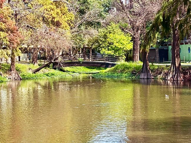 魚頭君帶路電子報vol.2_05巴克禮紀念公園. 魚頭君帶路電子報vol.2_05巴克禮紀念公園.