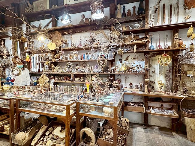 魚頭君帶路電子報vol.2_06千畦種子博物館. 魚頭君帶路電子報vol.2_06千畦種子博物館.