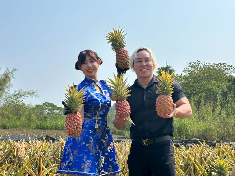 KOL於關廟鳳梨田體驗摘鳳梨