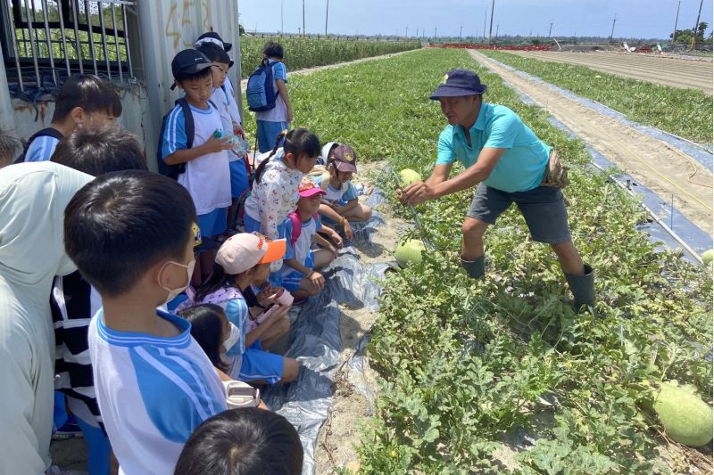 南大USR計畫帶領學生走進臺南鹽地西瓜田,從實地觀察認識沿海農業特色與地方產業智慧 南大USR計畫帶領學生走進臺南鹽地西瓜田,從實地觀察認識沿海農業特色與地方產業智慧